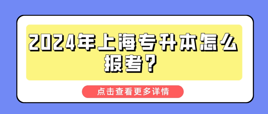 2024年上海专升本怎么报考？