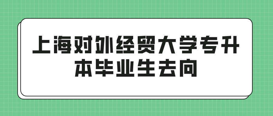 上海对外经贸大学专升本毕业生去向