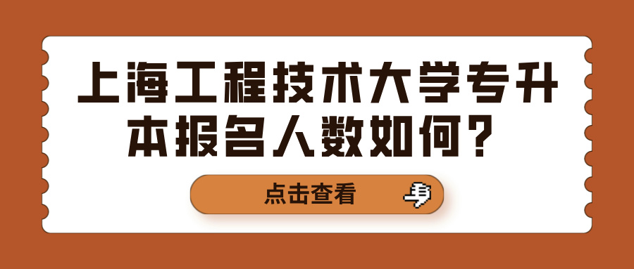 上海工程技术大学专升本报名人数如何？