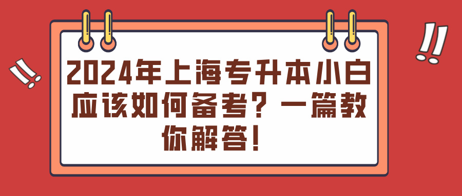 2024年上海专升本小白应该如何备考？一篇教你解答！