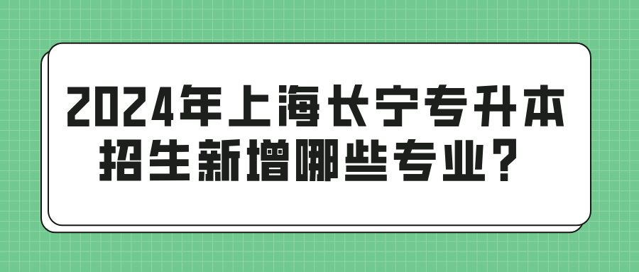 2024年上海长宁专升本招生新增哪些专业？