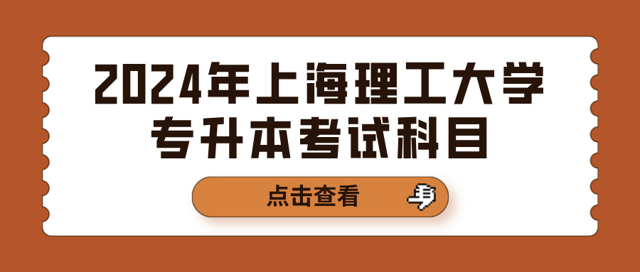 2024年上海理工大学专升本考试科目