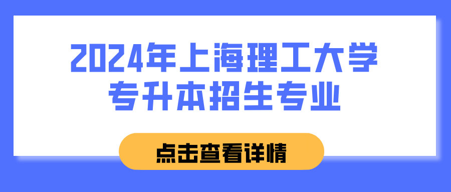 2024年上海理工大学专升本招生专业