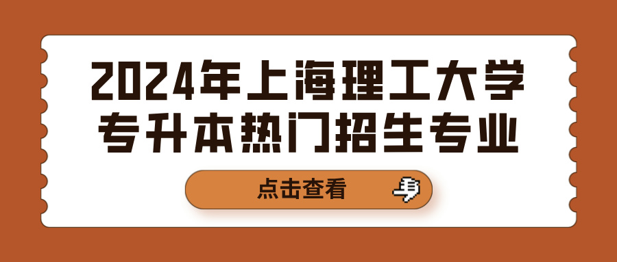 2024年上海理工大学专升本热门招生专业