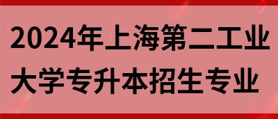 2024年上海第二工业大学专升本招生专业