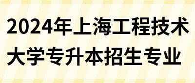 2024年上海工程技术大学专升本招生专业