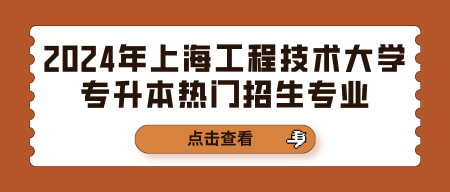 2024年上海工程技术大学专升本热门招生专业