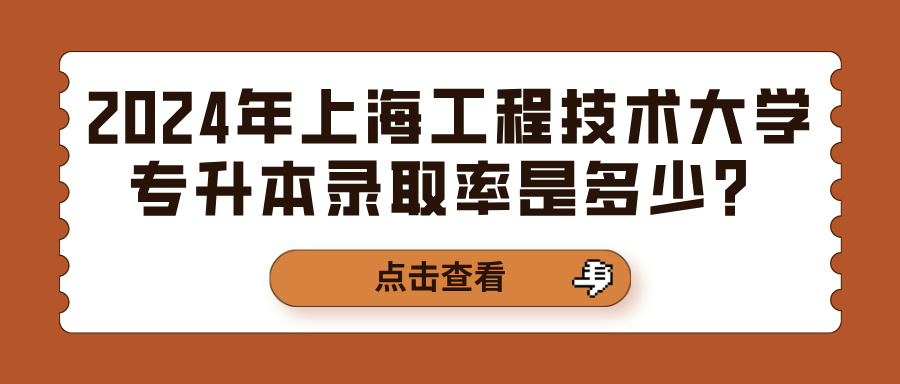 2024年上海工程技术大学专升本录取率是多少？