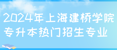 2024年上海建桥学院专升本热门招生专业