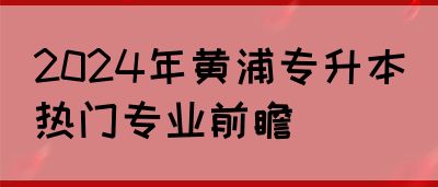 2024年黄浦专升本热门专业前瞻(图1)