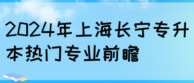 2024年上海长宁专升本热门专业前瞻