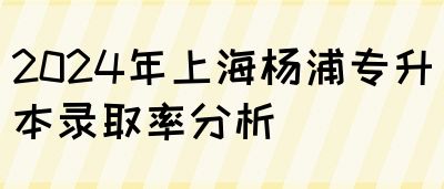 2024年上海杨浦专升本录取率分析