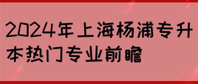 2024年上海杨浦专升本热门专业前瞻(图1)