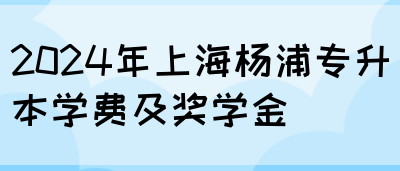 2024年上海杨浦专升本学费及奖学金