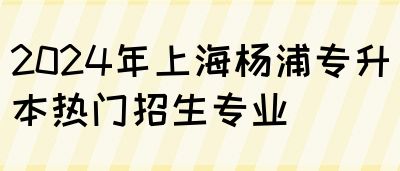 2024年上海杨浦专升本热门招生专业