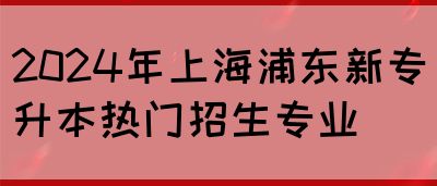 2024年上海浦东新专升本热门招生专业