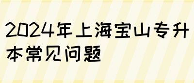 2024年上海宝山专升本常见问题(图1)