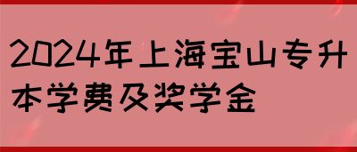 2024年上海宝山专升本学费及奖学金(图1)