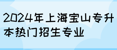 2024年上海宝山专升本热门招生专业(图1)