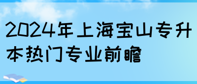 2024年上海宝山专升本热门专业前瞻(图1)