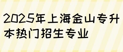 2025年上海金山专升本热门招生专业(图1)