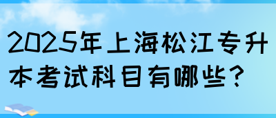 2025年上海松江专升本考试科目有哪些？(图1)