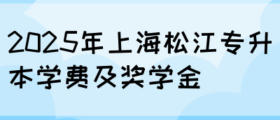 2025年上海松江专升本学费及奖学金(图1)