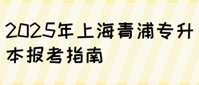 2025年上海青浦专升本报考指南(图1)