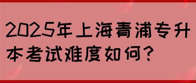 2025年上海青浦专升本考试难度如何？(图1)