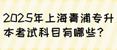 2025年上海青浦专升本考试科目有哪些？(图1)