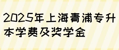 2025年上海青浦专升本学费及奖学金(图1)