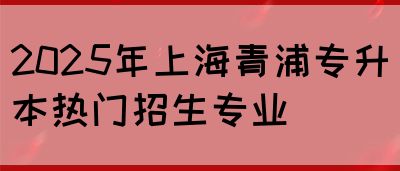 2025年上海青浦专升本热门招生专业(图1)