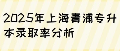 2025年上海青浦专升本录取率分析(图1)