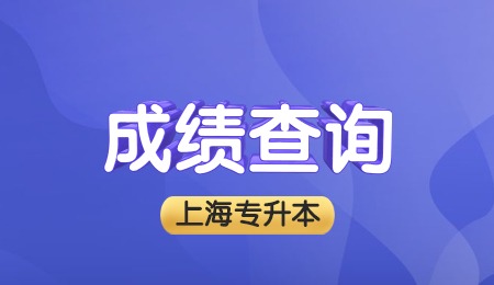 上海第二工业大学专升本成绩查询